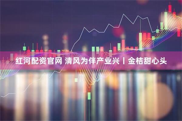 红河配资官网 清风为伴产业兴丨金桔甜心头